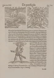 Page from 