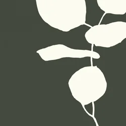Serene Plant Study