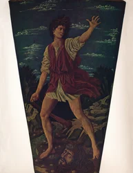 The Youthful David