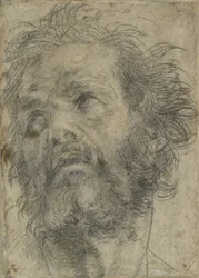 A Head of a Man