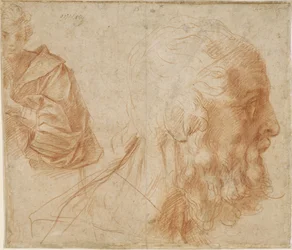 A Youth and the Head of an Old Man Homer