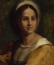 Portrait of a Young Woman