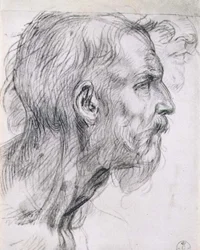Head of an Apostle, Study for the Fresco of the 