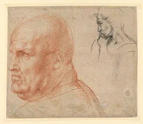 Study of Two Heads