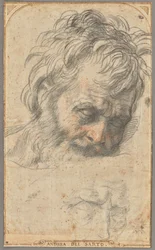 Study for the Head of Saint Joseph (recto); Two Studies of Legs (verso)