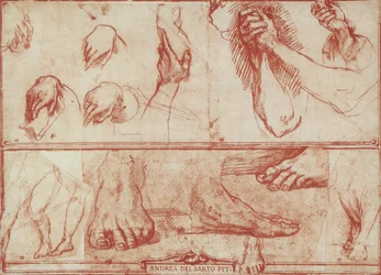 Study of hands and feet for the Last Supper of San Salvi
