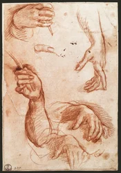 Study of hands