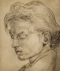 Virile Head in Profile
