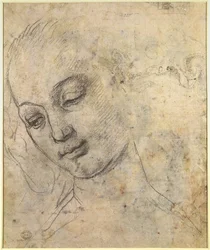 Portrait of a Female head