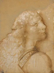 Bust of a young man, study for the angel of the Baptism of Christ of Verrocchio, c. 1475