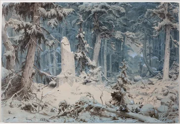 Snowy Forest