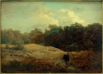 Forest Edge