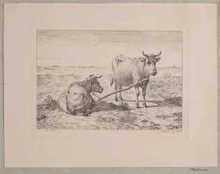 Two Connected Cows