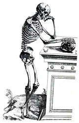 The Plates from the Seventh Book of the De Humani Corporis Fabrica