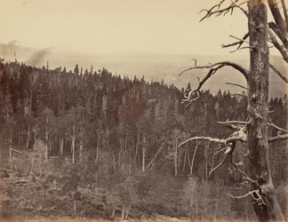 Plate 13. Snow and Timber Line, Laramie Mountains, 1869
