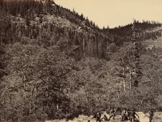 Plate 19. Among the Timber at Head of Little Laramie River, 1869