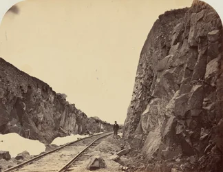 Plate 1. Carmichael