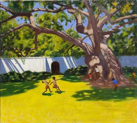 Ancient Camphor Tree, Vergelegen Estate, South Africa