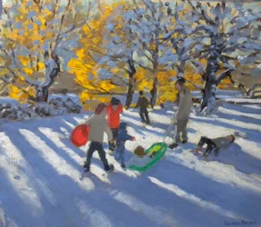 Autumn leaves and snow, Allestree park