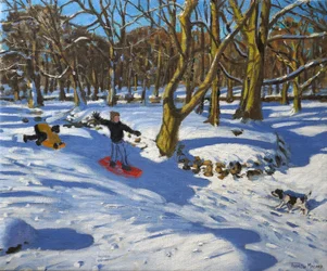 Red Sledge, Lomberdale Hall, Derbyshire