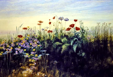 Wild Flowers