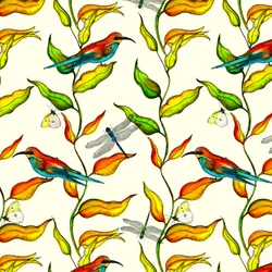 Bee Eaters, 2017