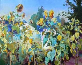 Golden Summer Sunflowers