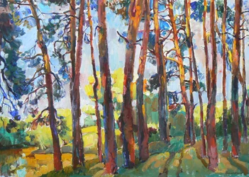 Sunlit Forest Path