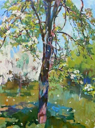 Sunny Spring Blossoms