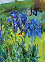 Vibrant Blue Irises