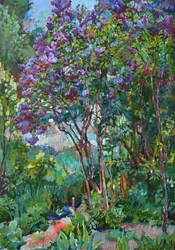 Vibrant Lilac Garden