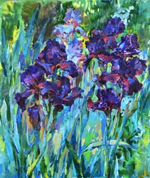 Vibrant Purple Irises