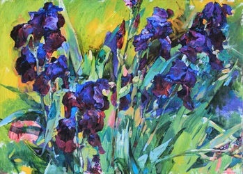 Vibrant Purple Irises