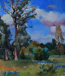 Vibrant Summer Landscape