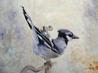 Blue Jay Perched