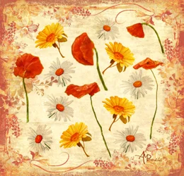 Cheerful Poppies And Daisies