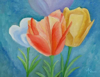 Colorful Spring Tulips