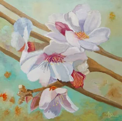 Delicate Spring Blossoms