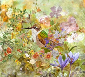 Hummingbird Garden Flowers