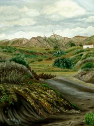 Peaceful Desert Valley