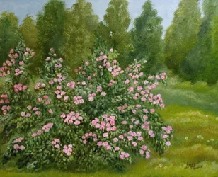 Peaceful Rose Garden