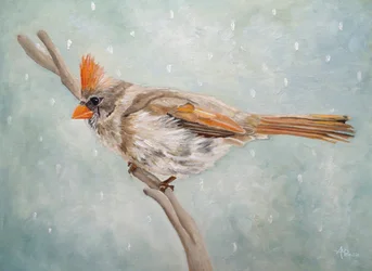Peaceful Winter Cardinal