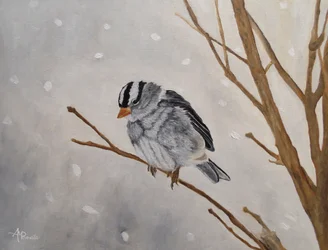 Quiet Winter Sparrow