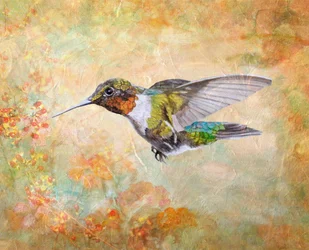 Ruby Throated Hummingbird