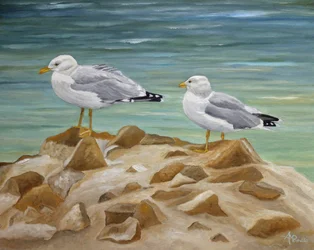 Two Coastal Seagulls