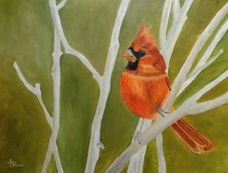 Vibrant Cardinal Perched