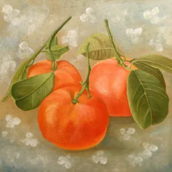 Vibrant Orange Still Life