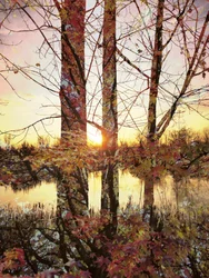 Golden Hour Autumn Reflection