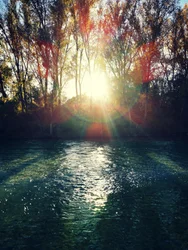 Golden River Sunlight