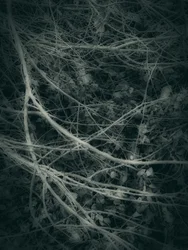 Gothik (6)